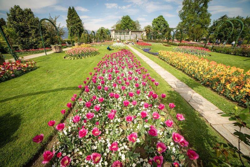 Villetta Primavera แวร์บาเนีย ภายนอก รูปภาพ