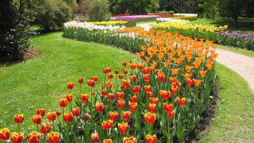 Villetta Primavera แวร์บาเนีย ภายนอก รูปภาพ